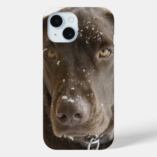 Sneeuwvlokbedekking Chocoladelab Foto Sluiten Case-Mate iPhone Case (Achterkant)