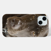 Sneeuwvlokbedekking Chocoladelab Foto Sluiten Case-Mate iPhone Case (Achterkant (horizontaal))