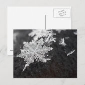 sneeuwvlokbriefkaart briefkaart (Voorkant / Achterkant)