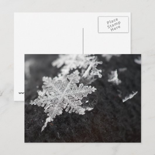 sneeuwvlokbriefkaart briefkaart (Voorkant / Achterkant)