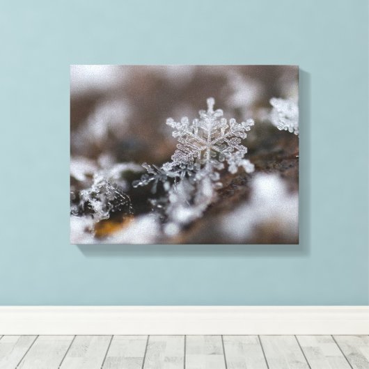 Sneeuwvlokcanvas Canvas Afdruk (Insitu (Houten vloer))