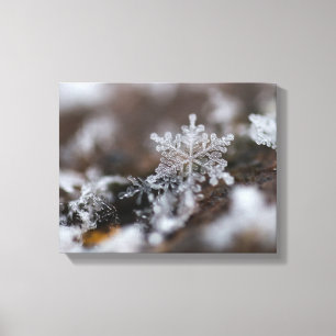 Sneeuwvlokcanvas Canvas Afdruk