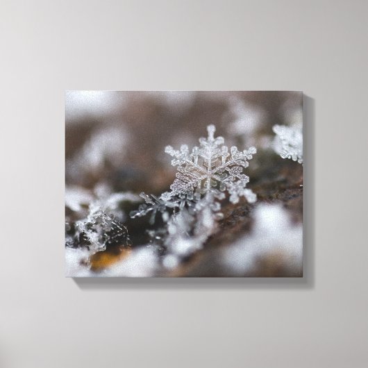 Sneeuwvlokcanvas Canvas Afdruk (Voorkant)