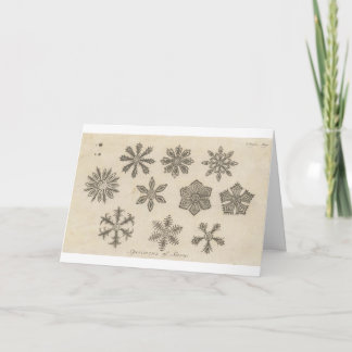 Sneeuwvlokken - 1791 feestdagen kaart
