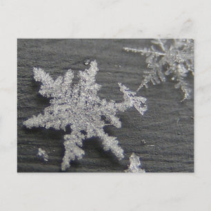 Sneeuwvlokken 45 ~ briefkaart
