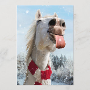 Sneeuwvlokken bij het vangen van paarden kaart