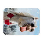 Sneeuwvlokken bij het vangen van paarden magneet (Horizontaal)