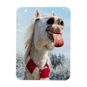 Sneeuwvlokken bij het vangen van paarden magneet