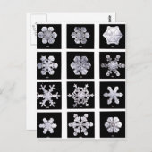 Sneeuwvlokken Briefkaart (Voorkant / Achterkant)