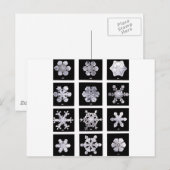 Sneeuwvlokken Briefkaart (Voorkant / Achterkant)