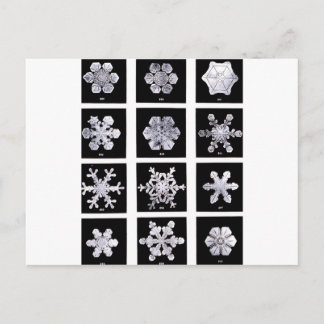 Sneeuwvlokken Briefkaart
