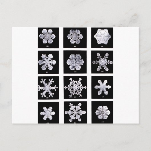 Sneeuwvlokken Briefkaart (Voorkant)