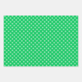 Sneeuwvlokken DIY Achtergrond Kleuren Inpakpapier Vel (Voorkant 2)