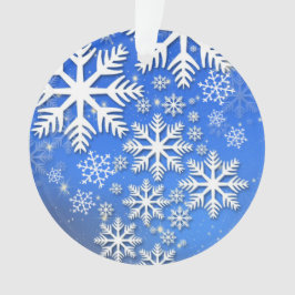 Sneeuwvlokken en sterren ornament