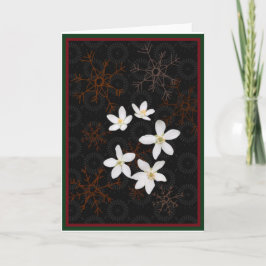Sneeuwvlokken en witte kerstbloemen feestdagen kaart