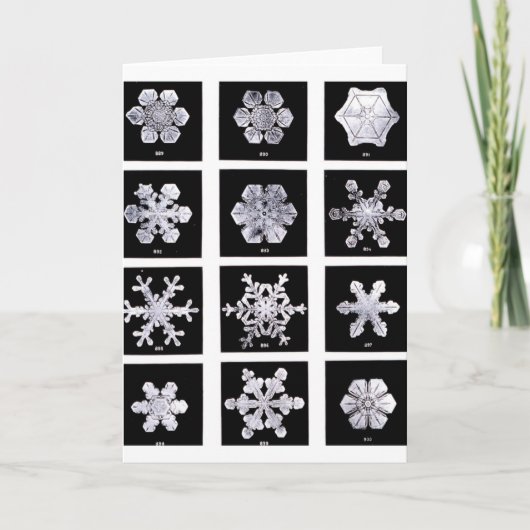 Sneeuwvlokken Feestdagen Kaart (Voorkant)