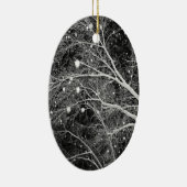 Sneeuwvlokken Fotoenteraafrotaties Keramisch Ornament (Rechts)