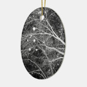 Sneeuwvlokken Fotoenteraafrotaties Keramisch Ornament (Links)