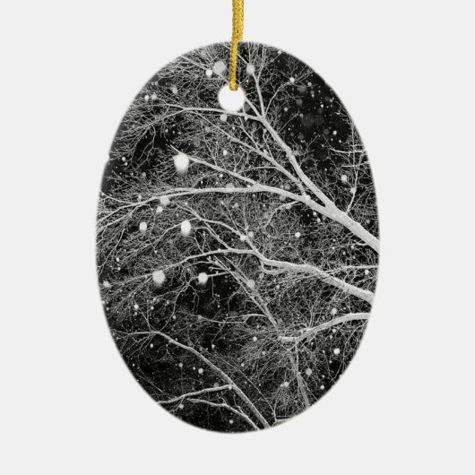 Sneeuwvlokken Fotoenteraafrotaties Keramisch Ornament (Voorkant)