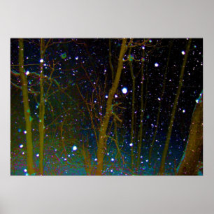 Sneeuwvlokken in het bos poster