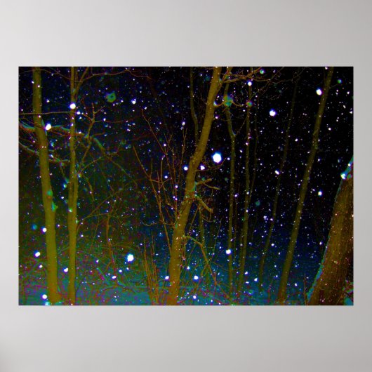Sneeuwvlokken in het bos poster (Voorkant)