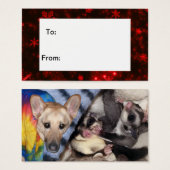 Sneeuwvlokken, Label van de Duitse schapenhouderij Visitekaartjes (Voorkant /achterkant)