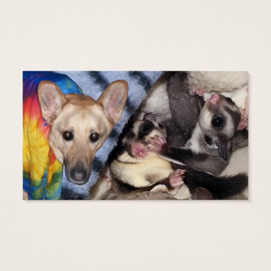 Sneeuwvlokken, Label van de Duitse schapenhouderij Visitekaartjes (Achterkant)