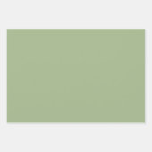 Sneeuwvlokken op Mint Inpakpapier Vel (Voorkant 2)