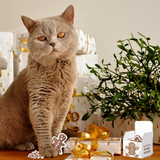 Sneeuwvlokken & peperkoek Cookie Vakantie Kerstmis Bedankdoosjes