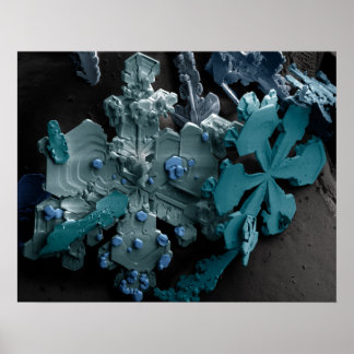 Sneeuwvlokken Poster