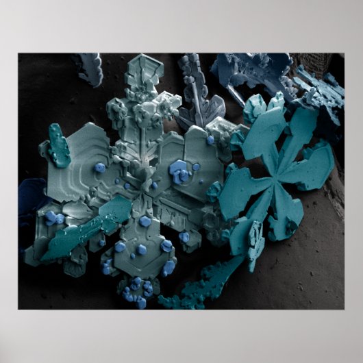 Sneeuwvlokken Poster (Voorkant)