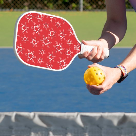 Sneeuwvlokken, Rode en Witte Sneeuwvlokken, Sneeuw Pickleball Paddle (Insitu)