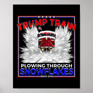 Sneeuwvlokken voor President Trump! Maga Trump tre Poster