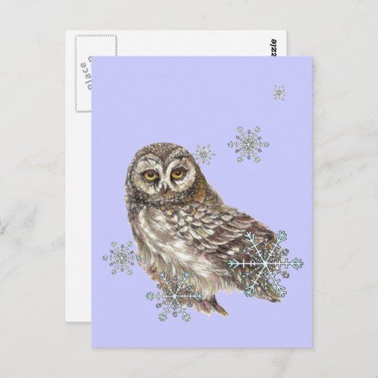 Sneeuwvlokken Winteruil, Waterverf Vogel Briefkaart (Voorkant / Achterkant)