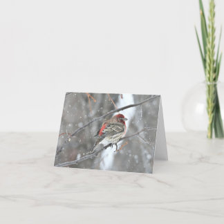 Sneeuwvogel-blanco notiecard. bedankkaart