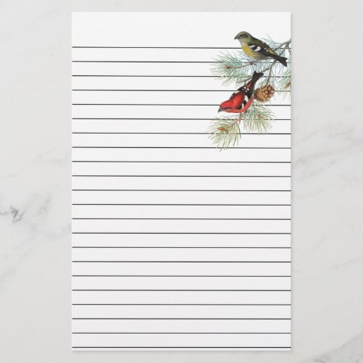 Sneeuwvogels op blauw gelaagd papier (Voorkant)