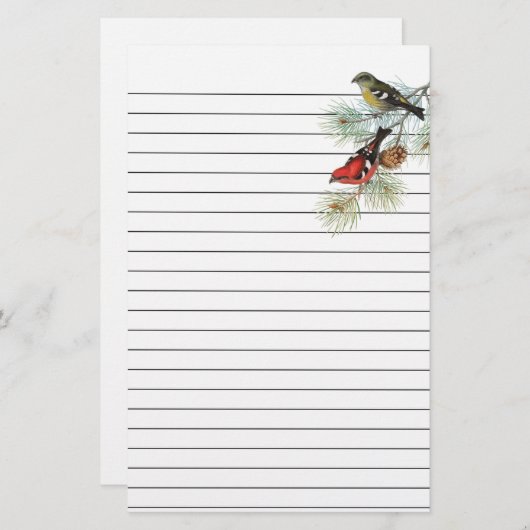 Sneeuwvogels op blauw gelaagd papier (Voorkant / Achterkant)