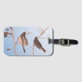 Sneeuwvogels op een kale wintertak bagagelabel (Voorkant (horizontaal))