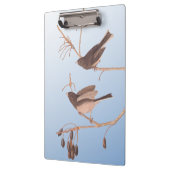 Sneeuwvogels op een kale wintertak klembord (Links)