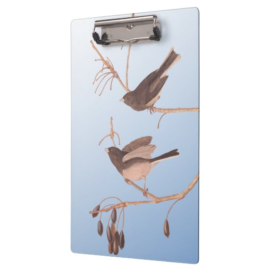 Sneeuwvogels op een kale wintertak klembord (Links)