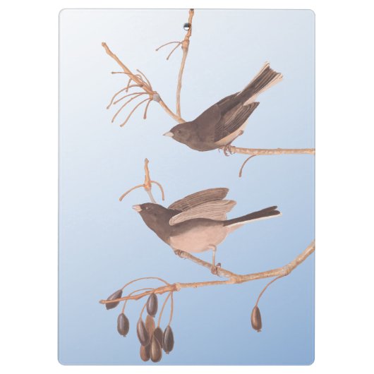 Sneeuwvogels op een kale wintertak klembord (Achterkant)