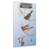 Sneeuwvogels op een kale wintertak klembord (Rechts)