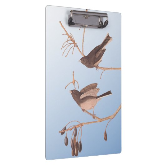 Sneeuwvogels op een kale wintertak klembord (Rechts)