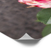 Sneeuwvuur roos poster (Hoek)