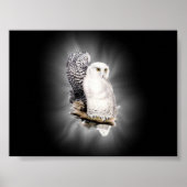 sneeuwwanden poster (Voorkant)