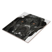 SneeuwWereldbol - Sneeuwhond - Zwarte labrador Tegeltje (Zijkant)