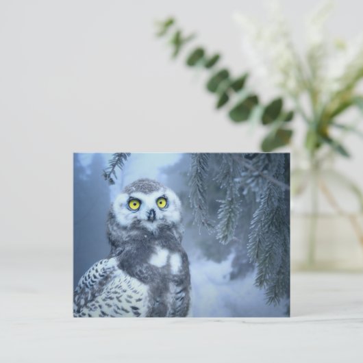 sneeuwwieg briefkaart (Staand voorkant)