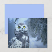 sneeuwwieg briefkaart (Voorkant / Achterkant)