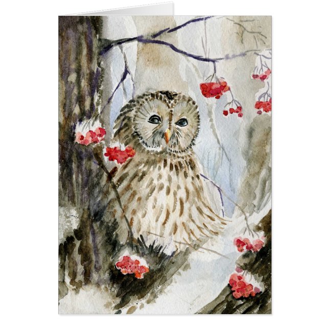 Sneeuwwinter met gestreepte uil (Voorkant)