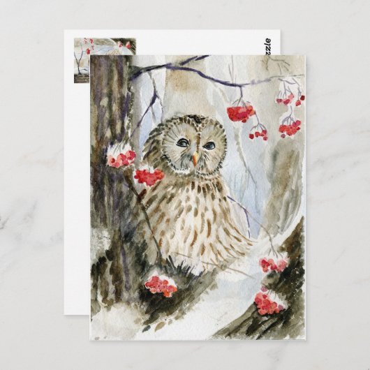 Sneeuwwinter met gestreepte uil briefkaart (Voorkant / Achterkant)